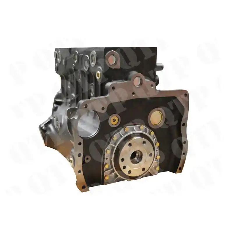 Paiement Sécurisé Short Motor