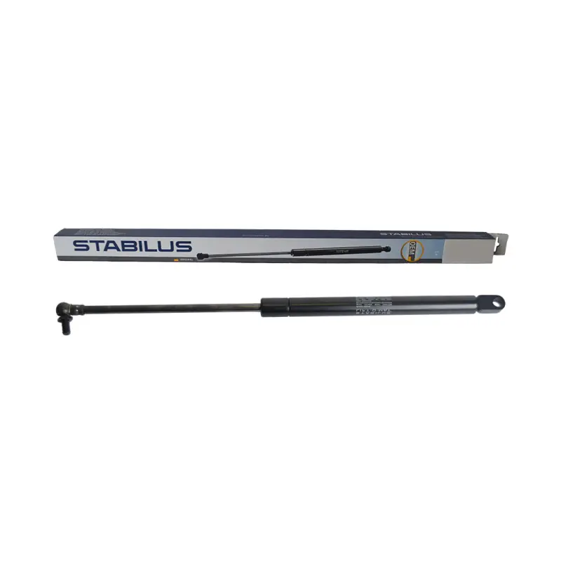 Expédition Rapide Gas Strut Rear Window Case