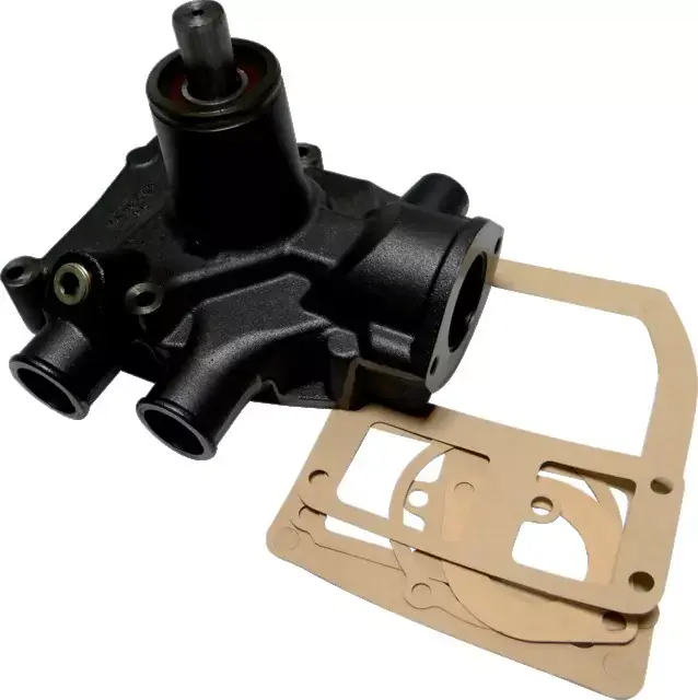 Commande En Gros Pompe a eau landini-mf 3641887m91