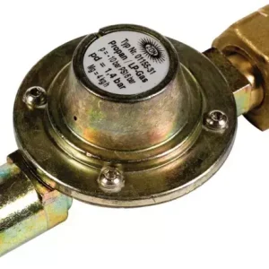 Détendeur pour canon à gaz tous modèles Ribizon Vente Flash