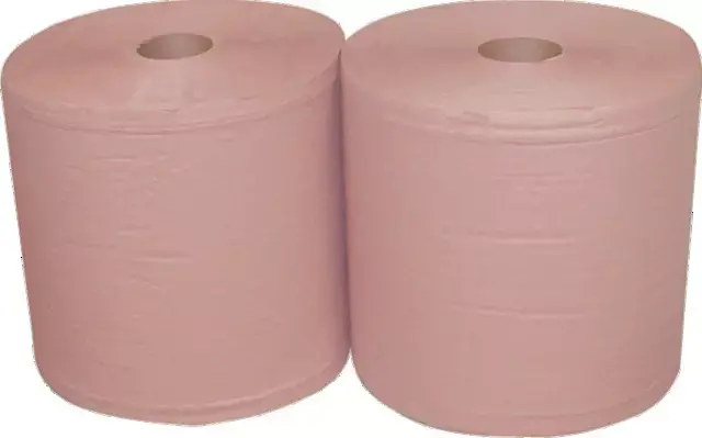 Bobine ouate chamois 2 plis 1000 formats x2 Expédition Rapide