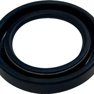 Remise Bague huile double lèvre 15x24x5 Comet