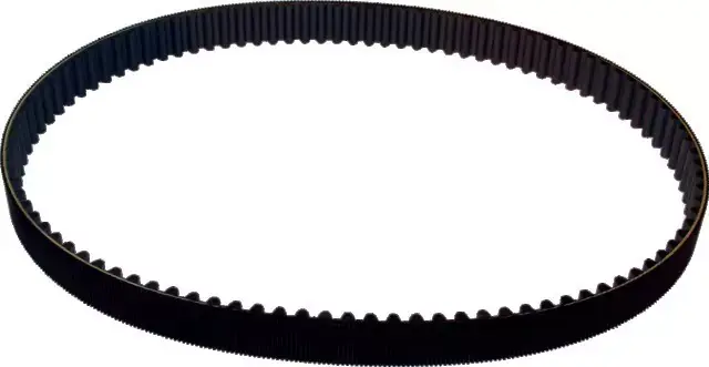 Authentique Courroie crantee largeur 37 mm rousseau