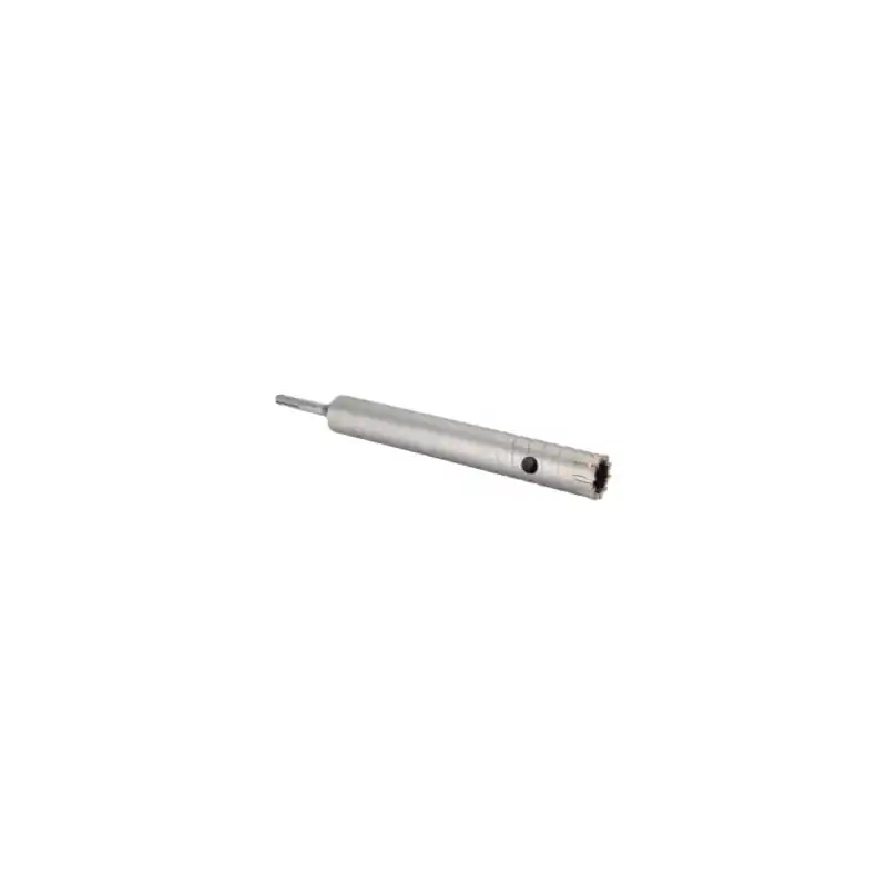 Achetez Aujourd'hui COUPE FERRAILLE SDS PLUS - Diamètre 22mm