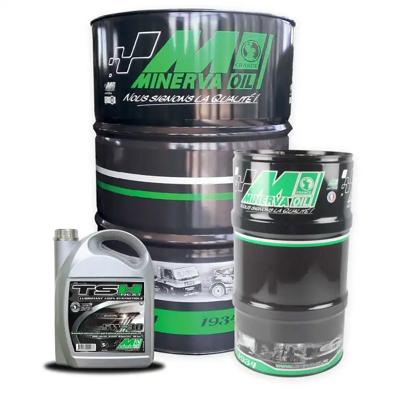 Livraison Express Lubrifiant synthétique 5W-30 pour moteurs automobiles TSH