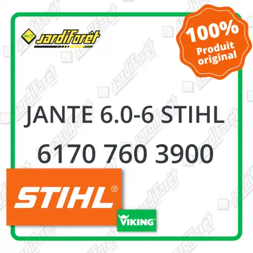 Jante 6.0-6 STIHL - 6170 760 3900 Meilleur Choix
