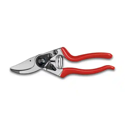 Sécateur Felco F8 STIHL Petit Prix